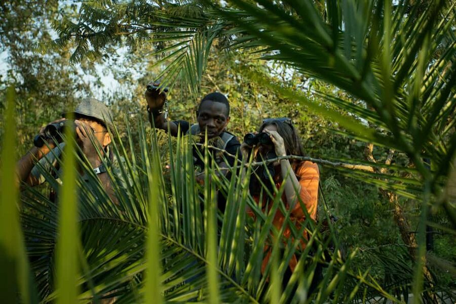 Kigali Eco Park Bird Watching Experience - The birds you may see in different habitats