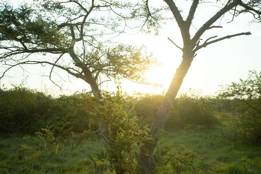 Kigali Eco Park Bird Watching Experience - Price, equipment, and what you actually receive