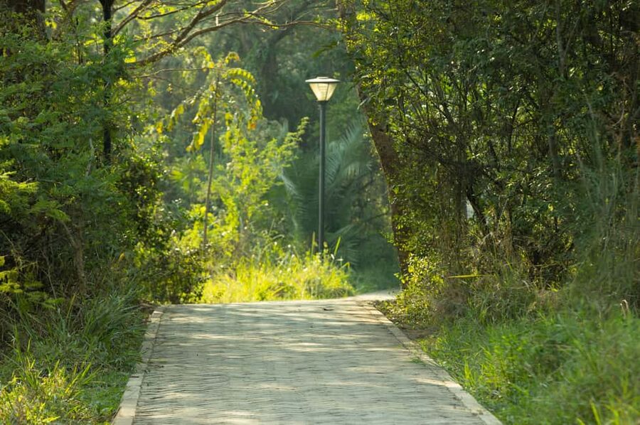 Kigali Eco Park Bird Watching Experience - Who will enjoy this Kigali experience most?