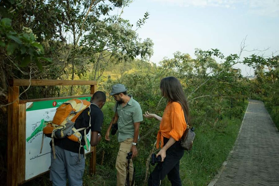 Kigali Eco Park Bird Watching Experience - What the four-hour birdwatching session is like