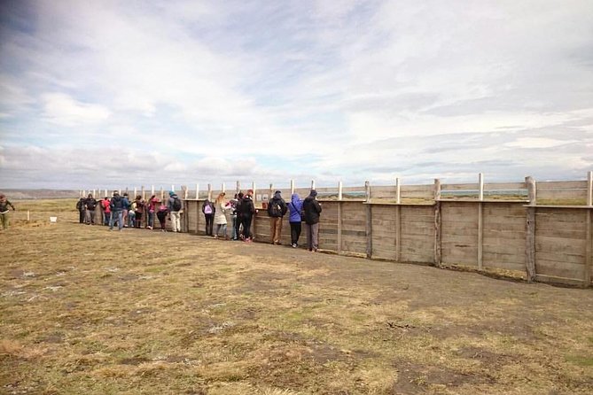 King Penguin Nature Reserve - Tierra del Fuego Island - The 5:00 am start and the long drive south