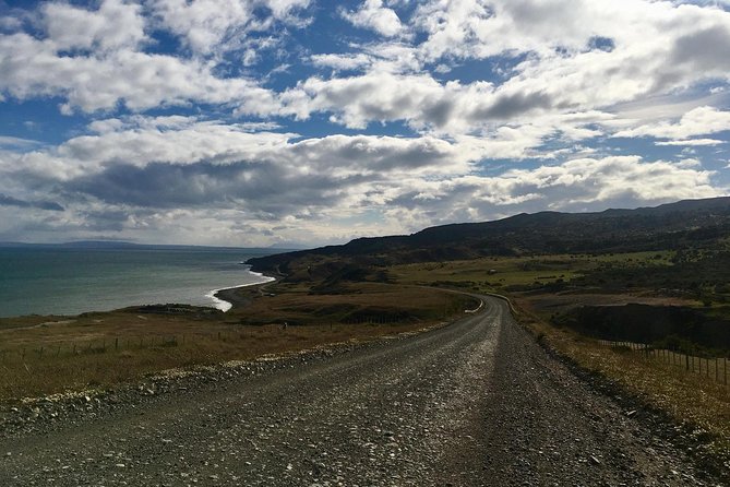 King Penguin Nature Reserve - Tierra del Fuego Island - One hour with the king penguins