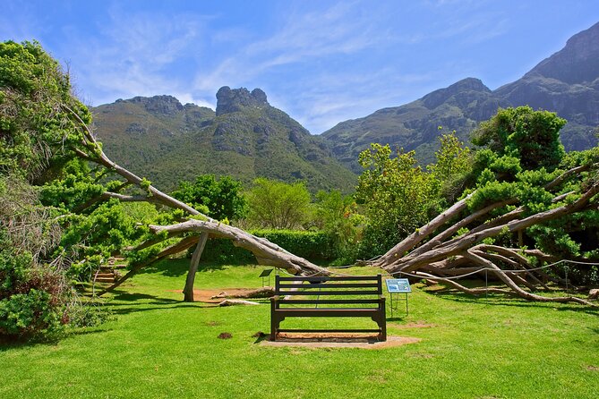 Kirstenbosch Garden, Bo-Kaap-Penguins & Cape of Good Hope Tour - St James Beach and Kalk Bay offer a slower coastal side