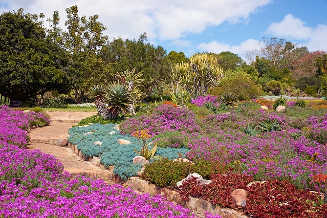 Kirstenbosch Garden, Bo-Kaap-Penguins & Cape of Good Hope Tour - Old Cape Point Lighthouse requires a choice