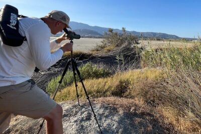 Kos Wildlife Walks: birdwatching and animal photography