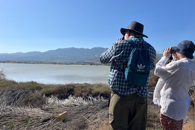 Kos Wildlife Walks: birdwatching and animal photography - Is $60.07 good value for two hours?