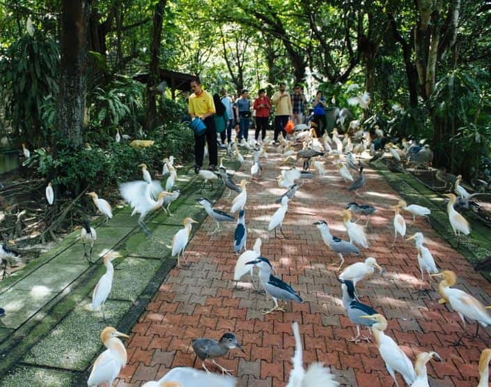 Kuala Lumpur: Bird Park, Butterfly & Garden Private Tour - Key points before you book