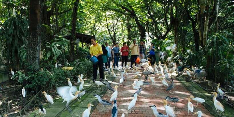 Kuala Lumpur: Bird Park, Butterfly & Garden Private Tour - Who will get the most from this outing?