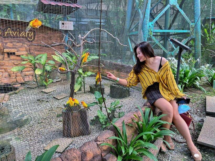 Kuala Lumpur: Bird Park Day Ticket & 1-Way Transfer - Practical tips before you go