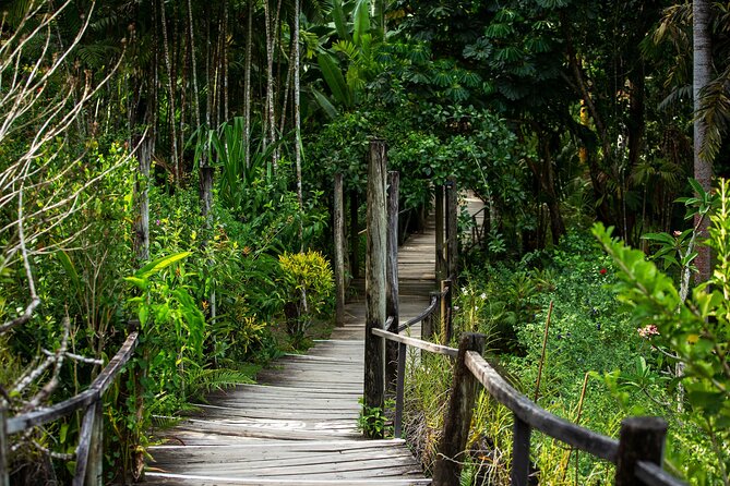 Kula Eco Bird Park ,Momi Gun Site And Market Tour Ex Marriott and Denarau resort - Practical preparation for a smoother day