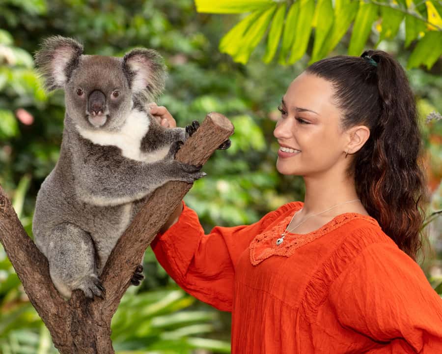Kuranda Wildlife Experience: Koalas, Birds & Butterflies - Key points to know before you go