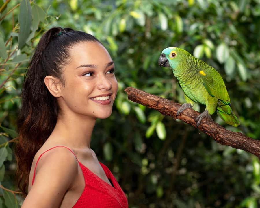 Kuranda Wildlife Experience: Koalas, Birds & Butterflies - Birdworld Kuranda and its 60-plus bird species