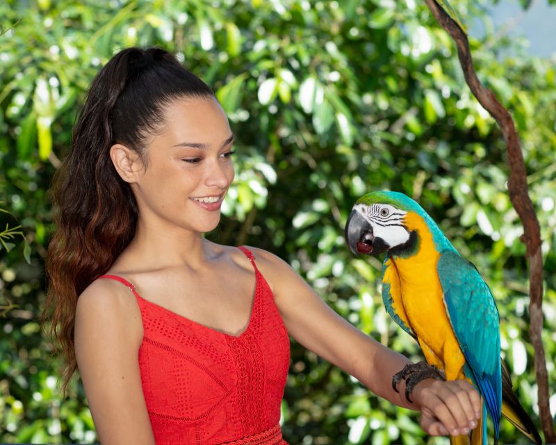 Kuranda Wildlife Experience: Koalas, Birds & Butterflies - What $43 buys you, and where the value sits