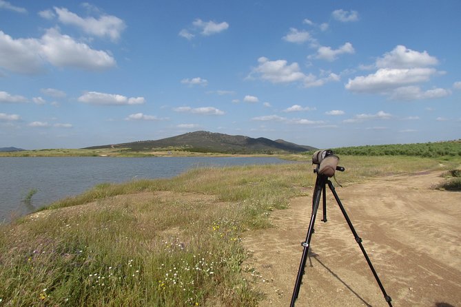 Laid-back birdwatching week - Why this Algarve week feels different