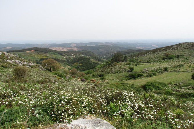 Laid-back birdwatching week - Day 4: A free morning and Alvor’s dunes