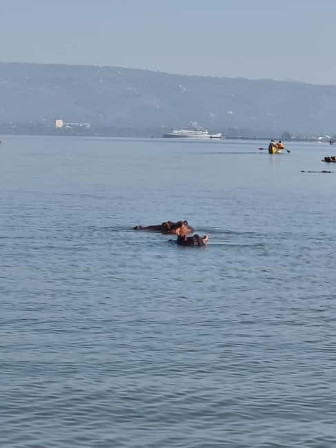 Lake Victoria Boat Ride, Birds Watching and Hippo Watching. - Why an Early Start Matters for Hippo Watching