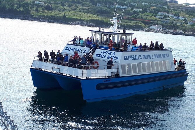 Late Season Puffin & Scenic Coastal Cruise - Puffins, eagles, sunfish, and the possibility of whales