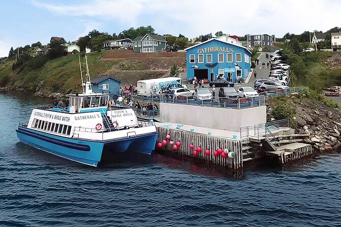Late Season Puffin & Scenic Coastal Cruise - The shuttle from St. John’s: useful, but not cheap
