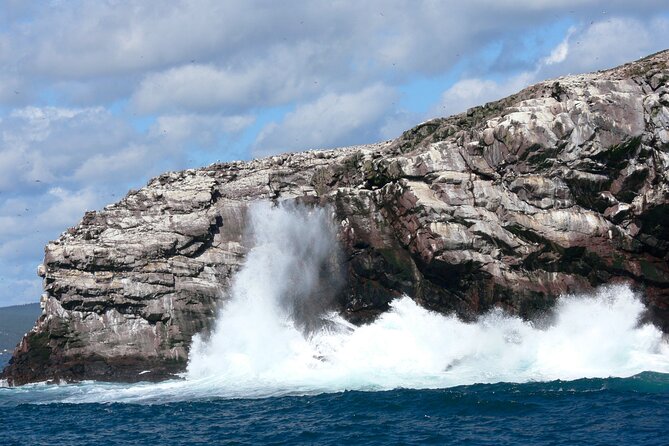 Late Season Puffin & Scenic Coastal Cruise - Who will enjoy this cruise most