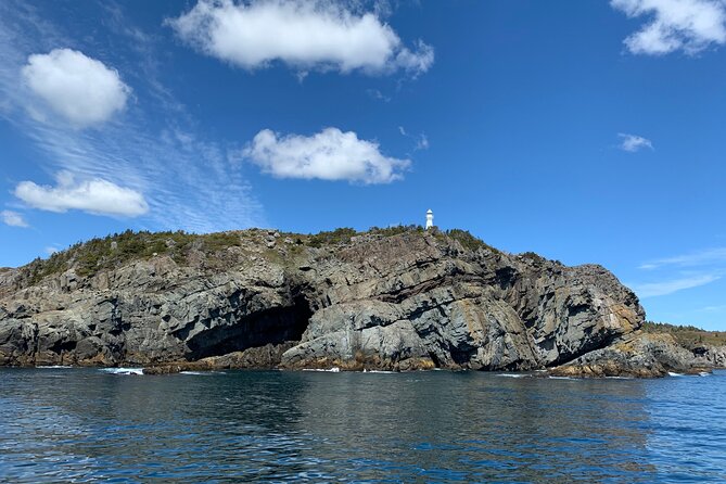 Late Season Puffin & Scenic Coastal Cruise - From Bay Bulls to the Witless Bay islands
