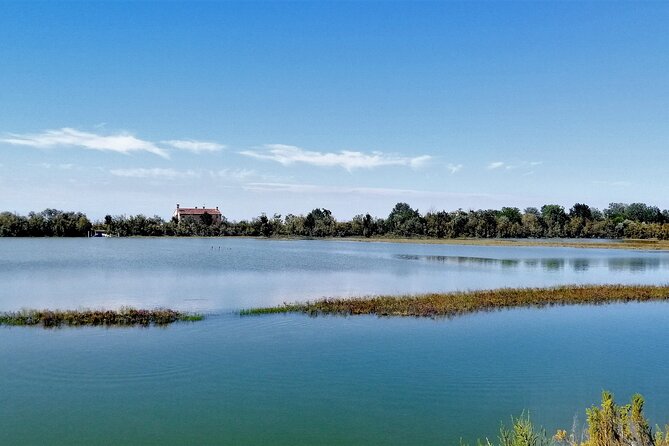 Lio Piccolo: Flamingos & Birdwatching Bike Tour in the Lagoon - Fondamente Nove to Treporti by water bus