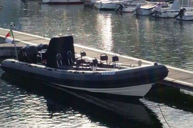 Lisbon : Birdwatching Boat Tour - Tagus Estuary - Why photographers may want more reach