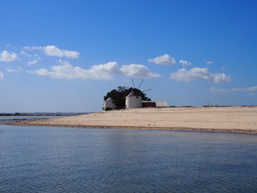 Lisbon: Tagus Estuary Nature Reserve Birdwatching Boat Tour - Five things to know before you book