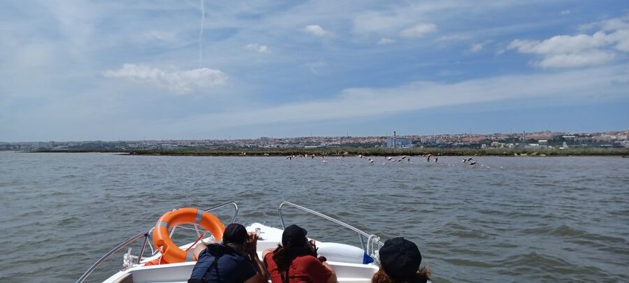 Lisbon: Tagus Estuary Nature Reserve Birdwatching Boat Tour - The first views: Parque das Nações and the fishing neighborhood