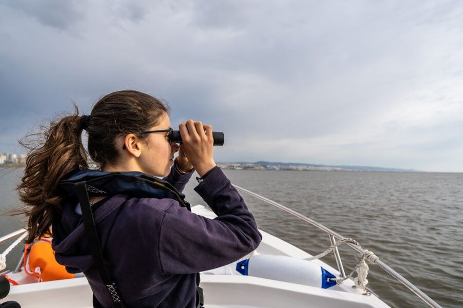 Lisbon: Tagus Estuary Nature Reserve Birdwatching Boat Tour - Mouchao da Povoa and the return beneath the bridge
