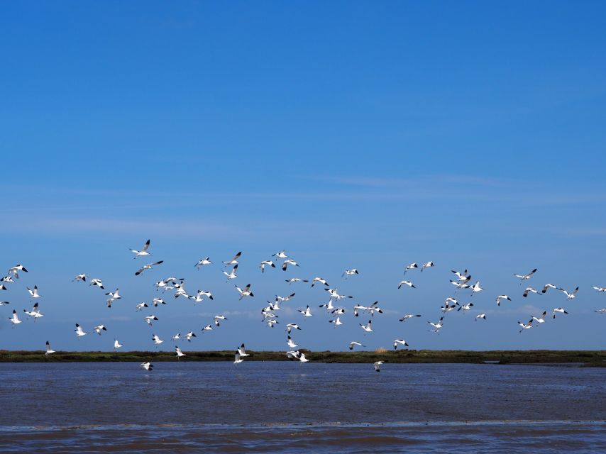 Lisbon: Tagus Estuary Nature Reserve Birdwatching Boat Tour - What Carlos adds to the experience