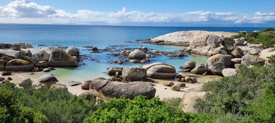Luxury Cape of Good Hope & Penguin Tour - What $239 buys you