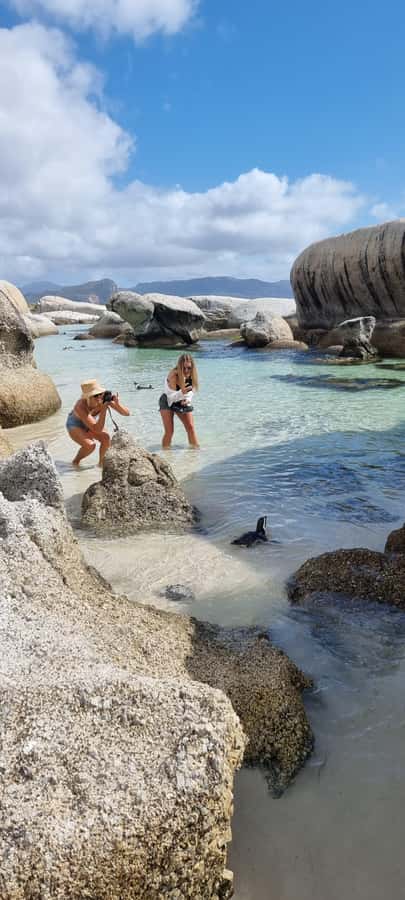 Luxury Cape of Good Hope & Penguin Tour - Chapman’s Peak gives you the big coastal views