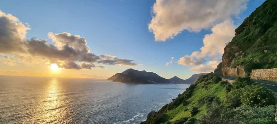 Luxury Cape of Good Hope & Penguin Tour - Craft gin and Chapman’s Peak close the scenic loop