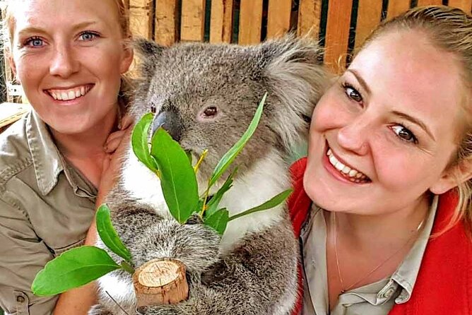 Luxury Phillip Island Tour for Families & Explorers [up to 10Pax] - Why this Phillip Island day trip works
