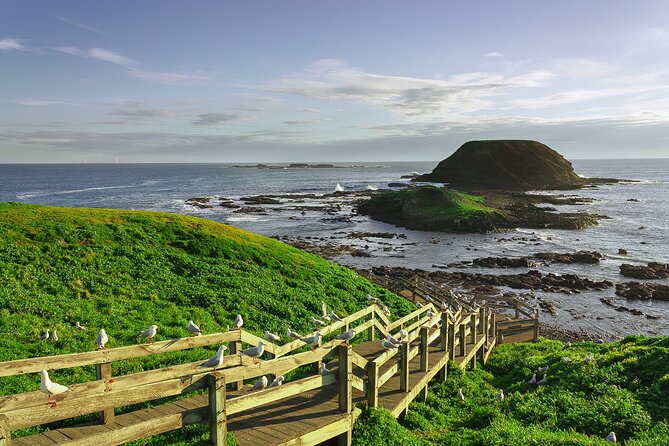 Luxury Phillip Island Tour for Families & Explorers [up to 10Pax] - Is the $136.28 price good value?