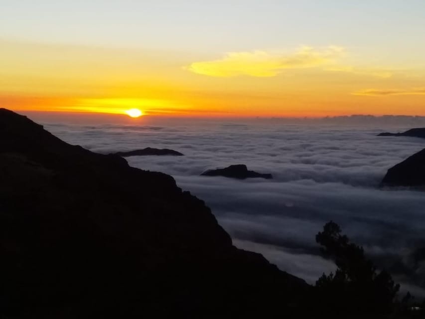 Madeira: Birdwatching - The Endemics - Key things to know before you book