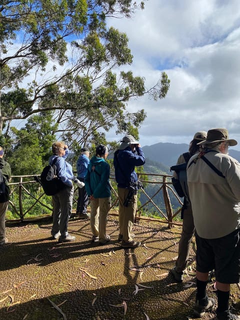 Madeira: Birdwatching - The Endemics - São Lourenço: open country and a change of pace