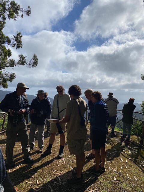 Madeira: Birdwatching - The Endemics - Who will enjoy this tour most?