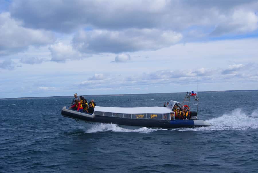 Magdalena Island Penguin Tour by Boat from Punta Arenas - Timing, cruise schedules, and weather concerns