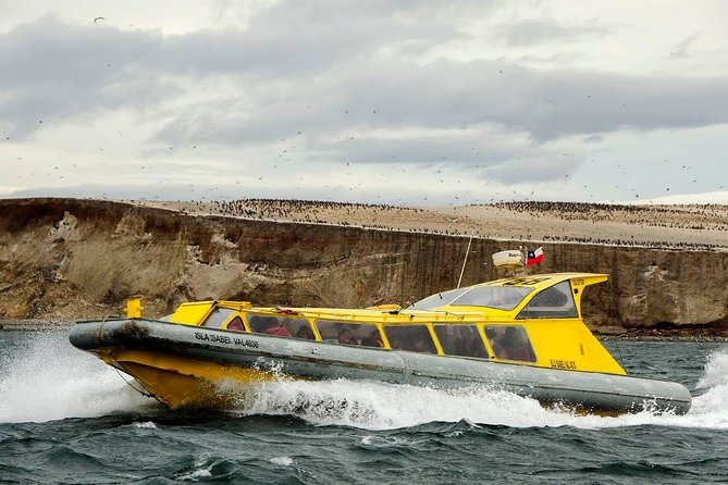 Magdalena Island Penguin Tour by Boat from Punta Arenas - Crossing the Strait of Magellan by catamaran