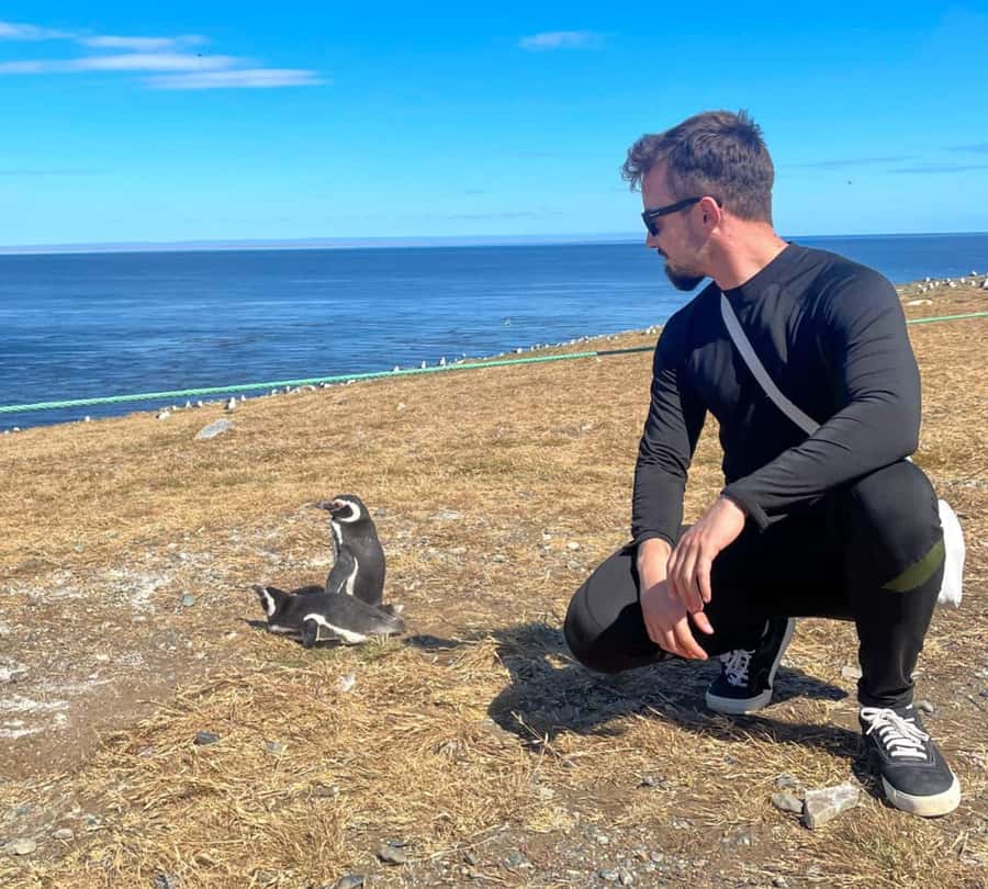 Magdalena Island: Walk with the penguins - Morning or afternoon departure?