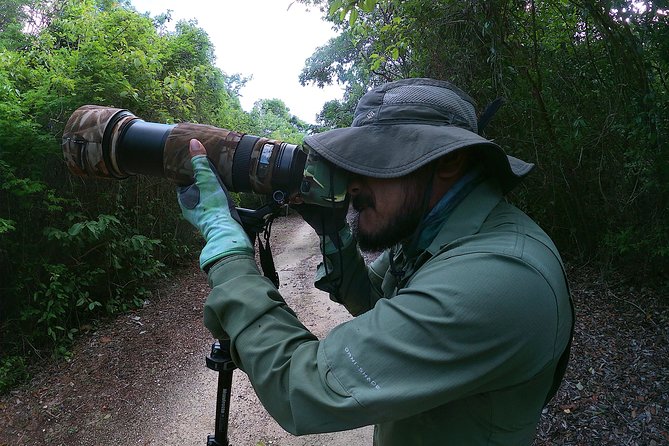 Mahahual and Costa Maya Birdwatching - Why this Costa Maya birdwatching tour works