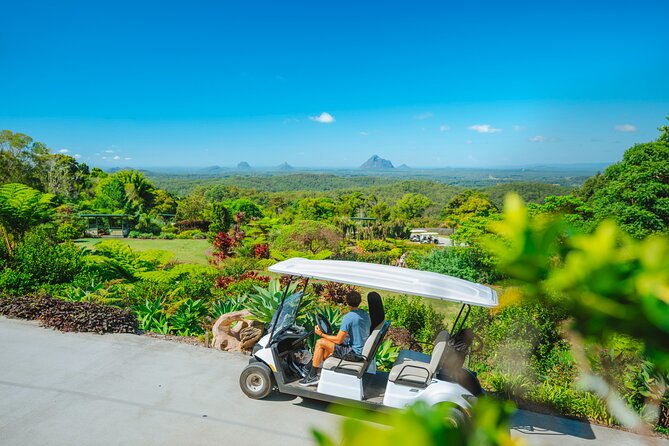 Maleny Botanic Gardens Bird Aviary Experience Ticket - Choosing the right time and pace