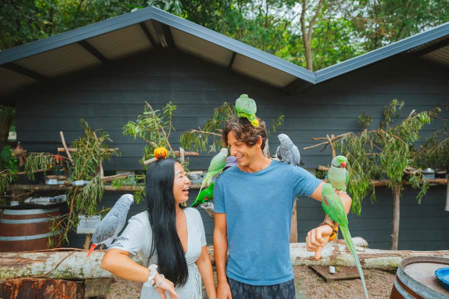 Maleny: Maleny Botanic Gardens & Bird World Entry Ticket - Key points at a glance
