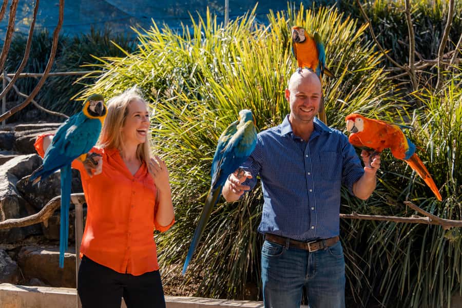 Maleny: Maleny Botanic Gardens & Bird World Entry Ticket - Walking through 23 acres of gardens