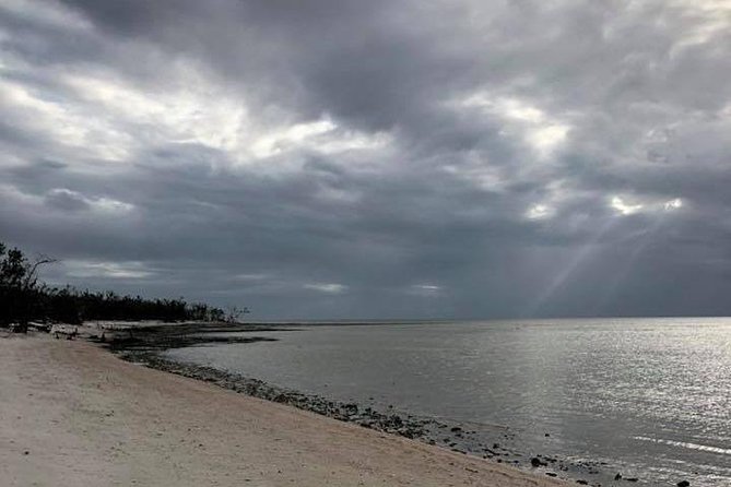 Marco Island: 2-Hour Dolphin, Birding, and Shelling Tour - The guide can shape the whole experience