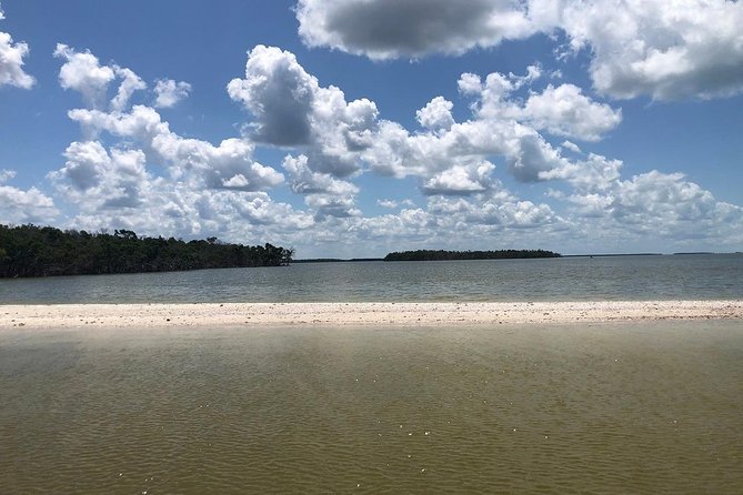 Marco Island: 2-Hour Dolphin, Birding, and Shelling Tour - Cruising through the Ten Thousand Islands