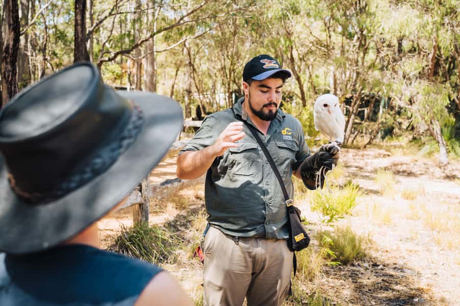 Margaret River: Birds of Prey Encounter and Forest Walk - The bird encounter brings the centre to life
