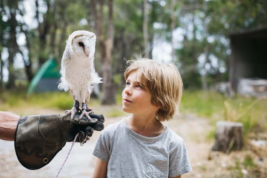 Margaret River: Birds of Prey Encounter and Forest Walk - The 1km forest walk gives you time to look