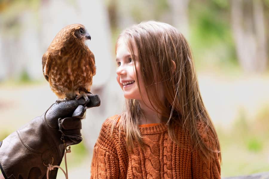 Margaret River: Birds of Prey Encounter and Forest Walk - The guides make the 90 minutes count